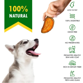 Dog Sweet Potato Chips