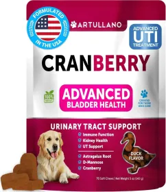 Dog Homeopathic UTI Treatment